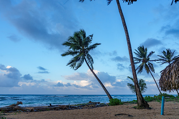 Punta Cana - 2025